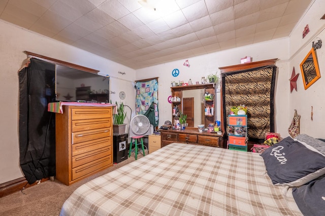 415 S Franklin Ave, Polo, IL 61064 - view of carpeted bedroom