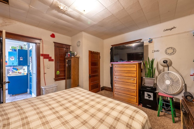 415 S Franklin Ave, Polo, IL 61064 - view of carpeted bedroom