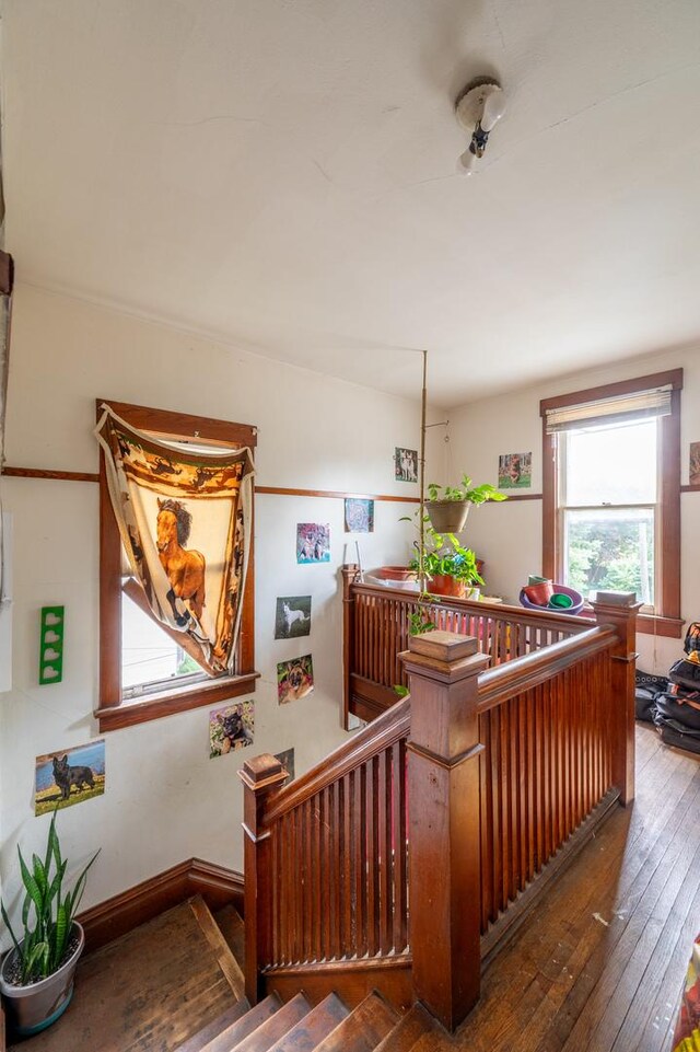 415 S Franklin Ave, Polo, IL 61064 - staircase featuring wood-type flooring