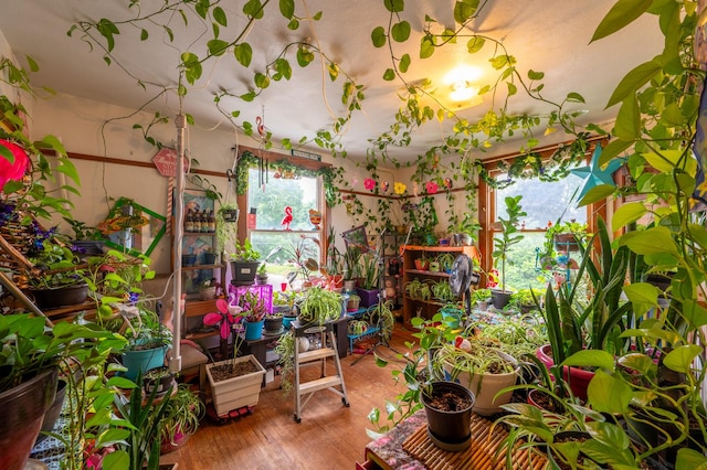 415 S Franklin Ave, Polo, IL 61064 - view of sunroom