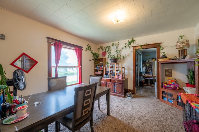 415 S Franklin Ave, Polo, IL 61064 - office area featuring carpet flooring