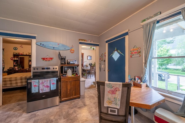 415 S Franklin Ave, Polo, IL 61064 - kitchen with stainless steel appliances, plenty of natural light, crown molding, and wood walls