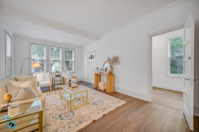 1659 N Francisco Ave, Chicago, IL 60647 - living room featuring wood finished floors and baseboards