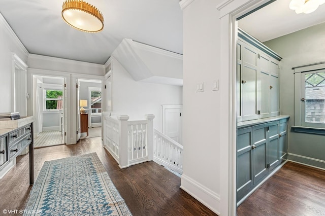 938 Edgemere Ct, Evanston, IL 60202 - hallway with an upstairs landing, dark wood-style floors, plenty of natural light, and crown molding
