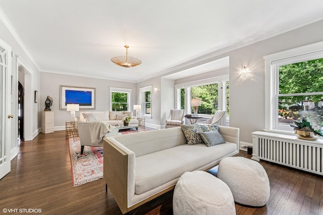 938 Edgemere Ct, Evanston, IL 60202 - living area with radiator heating unit, dark wood-type flooring, ornamental molding, and plenty of natural light