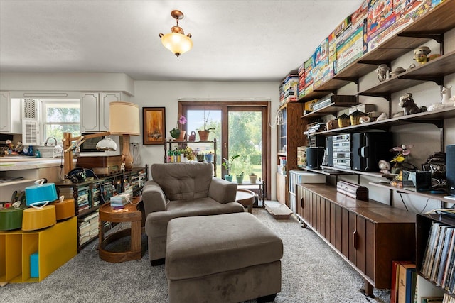 1356 Briarcliff Dr, Rantoul, IL 61866 - living room featuring light carpet and plenty of natural light