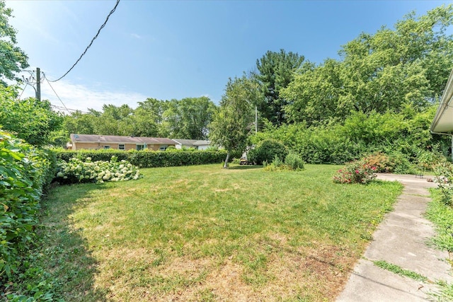 1356 Briarcliff Dr, Rantoul, IL 61866 - view of green lawn