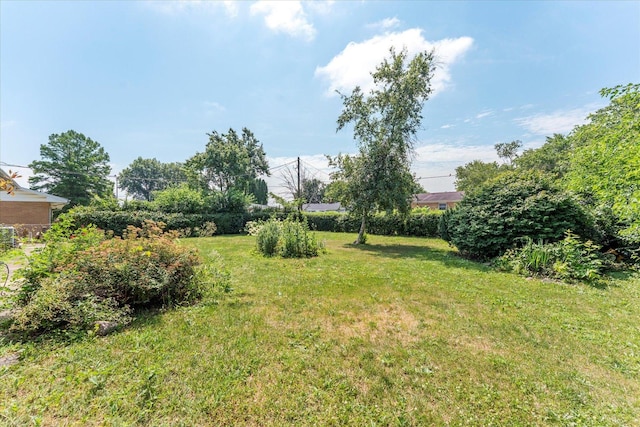 1356 Briarcliff Dr, Rantoul, IL 61866 - view of grassy yard