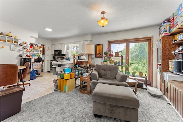 1356 Briarcliff Dr, Rantoul, IL 61866 - living area with light colored carpet
