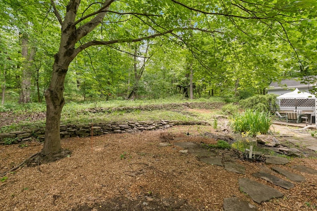 36W525 Wild Rose Rd, Saint Charles, IL 60174 - view of yard