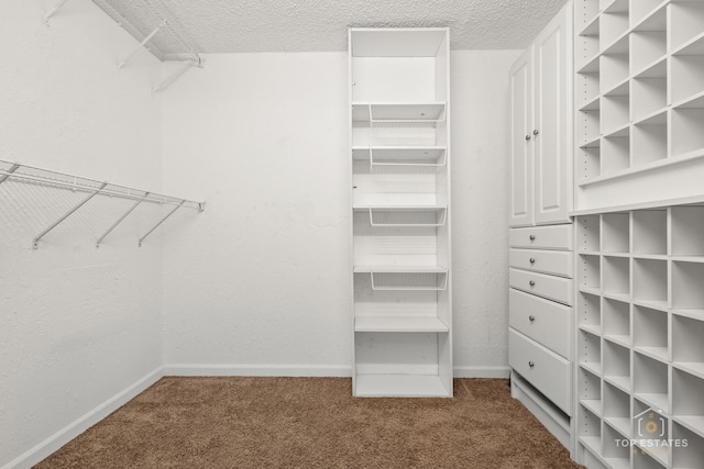 1 Renaissance Pl Unit 1121, Palatine, IL 60067 - walk in closet featuring carpet