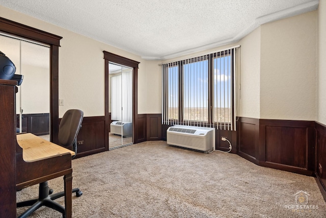 1 Renaissance Pl Unit 1121, Palatine, IL 60067 - office with a textured ceiling, wainscoting, and carpet floors