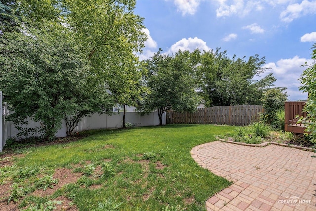 1005 Georgian Pl Unit 1005, Bartlett, IL 60103 - fenced backyard featuring a patio area