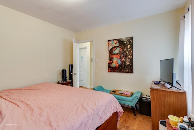 8724 S Jeffery Blvd, Chicago, IL 60617 - bedroom with light wood finished floors