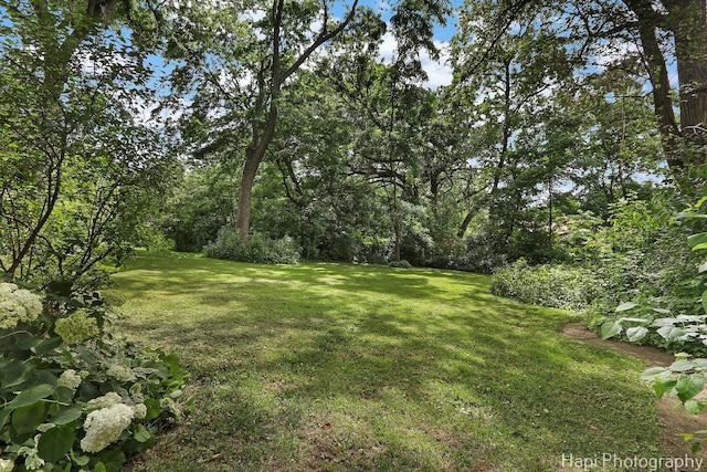 146 Westerfield Pl, Grayslake, IL 60030 - view of green lawn