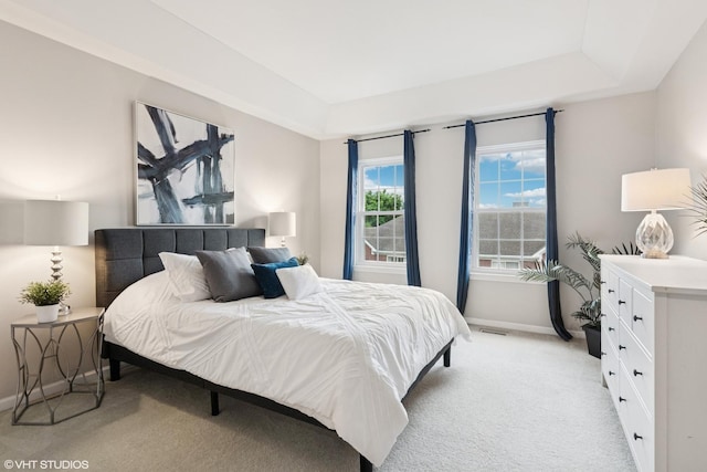 926 Bromley Pl, Northbrook, IL 60062 - bedroom with light carpet and a raised ceiling