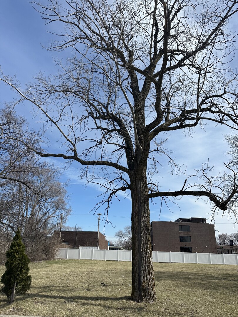 8003 S Oconto Ave, Bridgeview, IL 60455