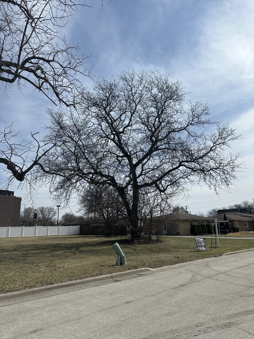 8003 S Oconto Ave, Bridgeview, IL 60455