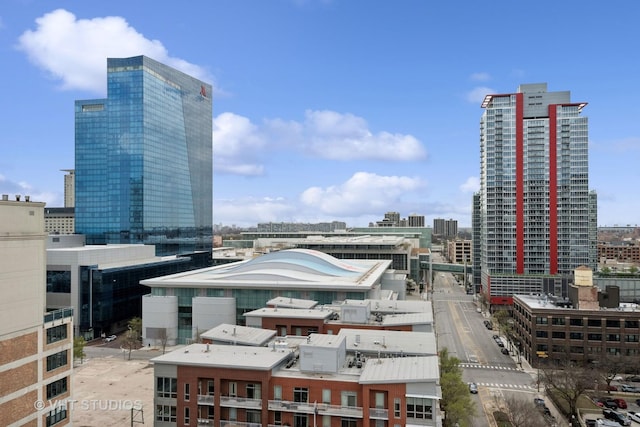 212 E Cullerton St Unit Ph06, Chicago, IL 60616 - city view
