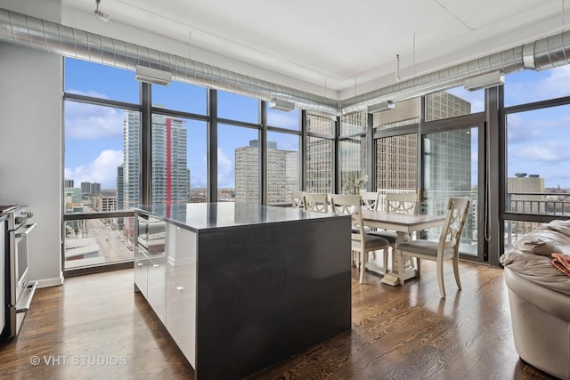 212 E Cullerton St Unit Ph06, Chicago, IL 60616 - kitchen featuring floor to ceiling windows, a view of skyline, plenty of natural light, and dark wood-type flooring