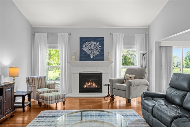 0N585 Charlotte Dr, Geneva, IL 60134 - living room with plenty of natural light, a lit fireplace, and dark wood-type flooring