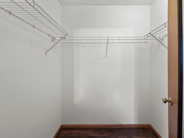 179 Briarcliff Ct, Romeoville, IL 60446 - walk in closet with wood finished floors