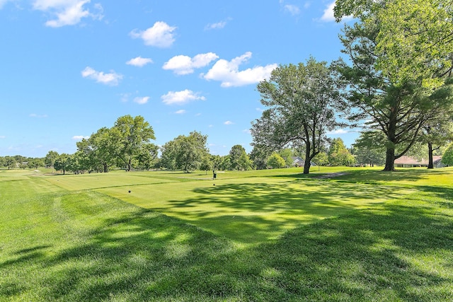 505 Aberdeen Rd, Frankfort, IL 60423 - photo 7