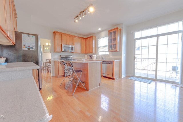 704 Danielle Ct, Naperville, IL 60565 - photo 11