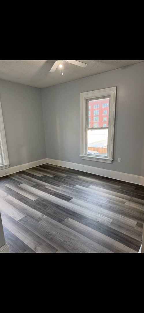 211 E Mulberry St, Bloomington, IL 61701 - unfurnished room with wood finished floors and a ceiling fan