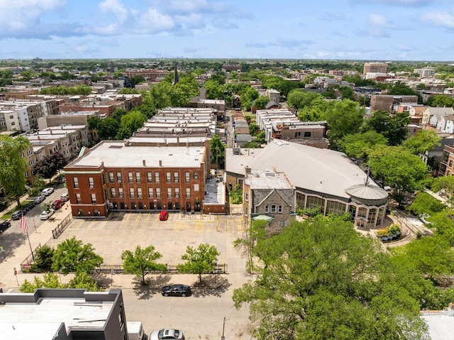 1058 N Campbell St, Chicago, IL 60622 - photo 4