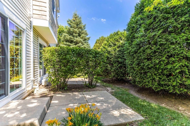 32374 N Allegheny Way Unit 0, Lakemoor, IL 60051 - view of patio