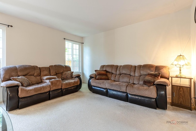32374 N Allegheny Way Unit 0, Lakemoor, IL 60051 - view of carpeted living room