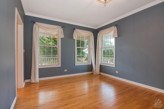 1019 Freedom Cir, Sycamore, IL 60178 - unfurnished room featuring light wood-style floors and ornamental molding