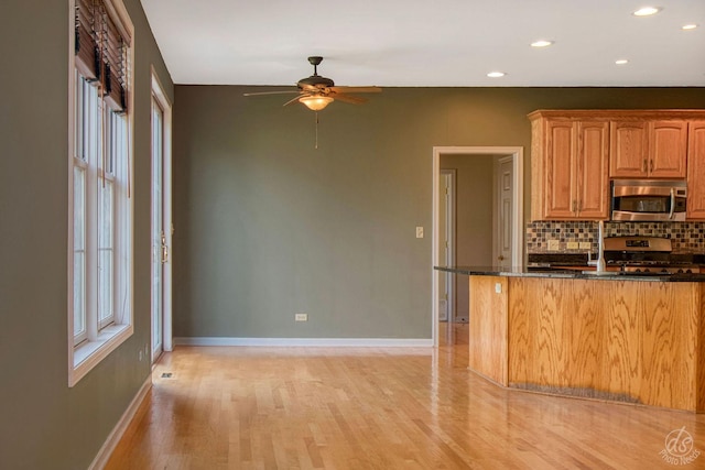 1019 Freedom Cir, Sycamore, IL 60178 - kitchen featuring stainless steel appliances, a ceiling fan, light wood finished floors, backsplash, and recessed lighting