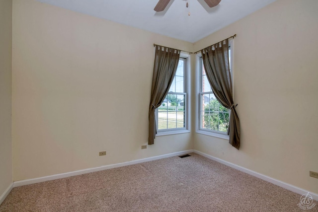 1019 Freedom Cir, Sycamore, IL 60178 - spare room featuring carpet flooring and a ceiling fan