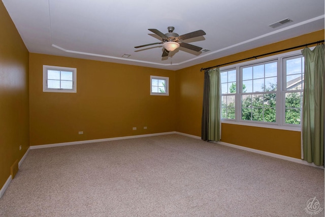 1019 Freedom Cir, Sycamore, IL 60178 - carpeted spare room featuring plenty of natural light and ceiling fan