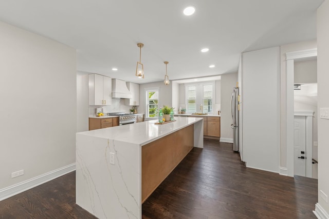 342 Franklin Ave, River Forest, IL 60305 - kitchen with custom exhaust hood, a center island, stainless steel appliances, recessed lighting, and dark wood finished floors