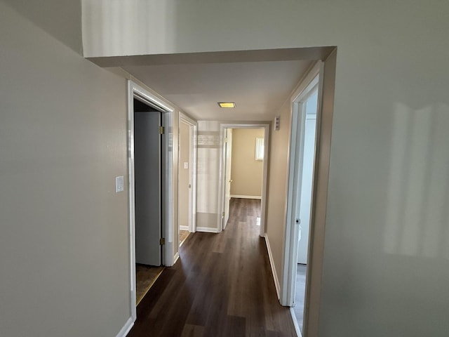 17043 Trapet Ave, Hazel Crest, IL 60429 - photo 6