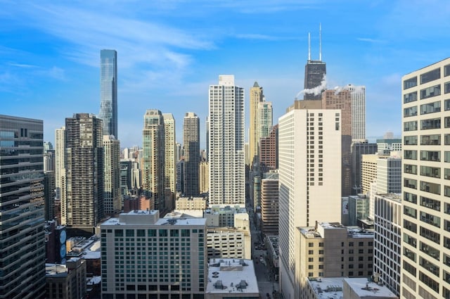 405 N Wabash Ave Unit 3611, Chicago, IL 60611 - view of city skyline