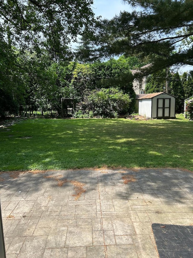 446 S Stratford Ave, Elmhurst, IL 60126 - photo 19