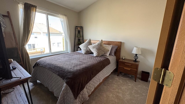 904 Clover Ln, Pingree Grove, IL 60140 - carpeted bedroom featuring vaulted ceiling and baseboards