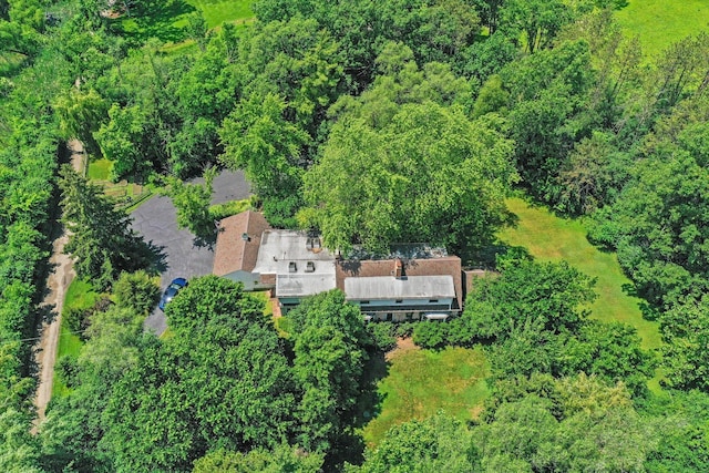 600 Riverwoods Rd, Mettawa, IL 60045 - aerial view of property and surrounding area