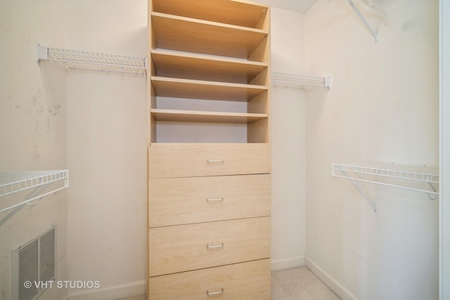 1660 1st St Unit 303, Highland Park, IL 60035 - spacious closet with carpet flooring