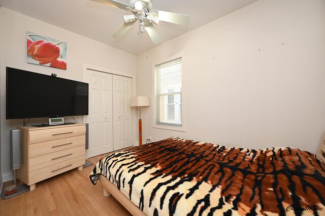 6022 W Byron St, Chicago, IL 60634 - photo 17