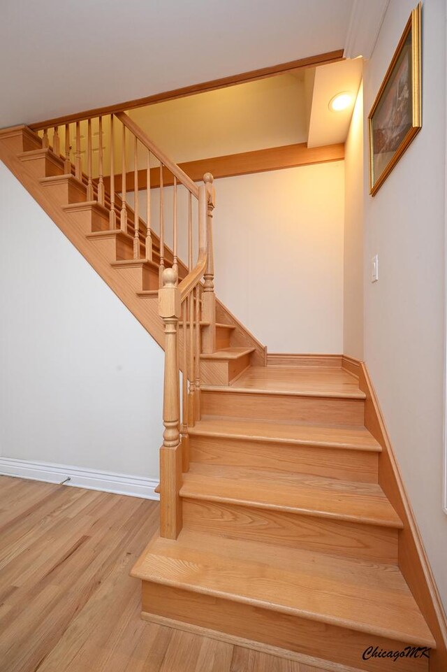 6022 W Byron St, Chicago, IL 60634 - photo 21