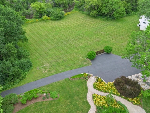 5N113 Burr Rd, Saint Charles, IL 60175 - bird's eye view