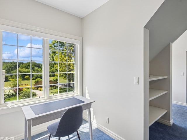 5N113 Burr Rd, Saint Charles, IL 60175 - home office with plenty of natural light and carpet
