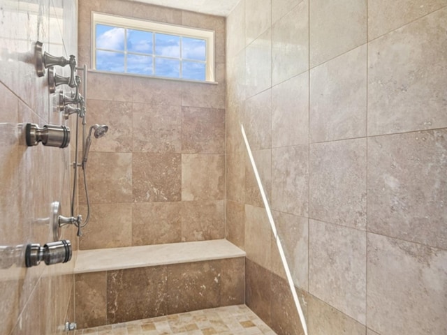 5N113 Burr Rd, Saint Charles, IL 60175 - bathroom featuring a tile shower