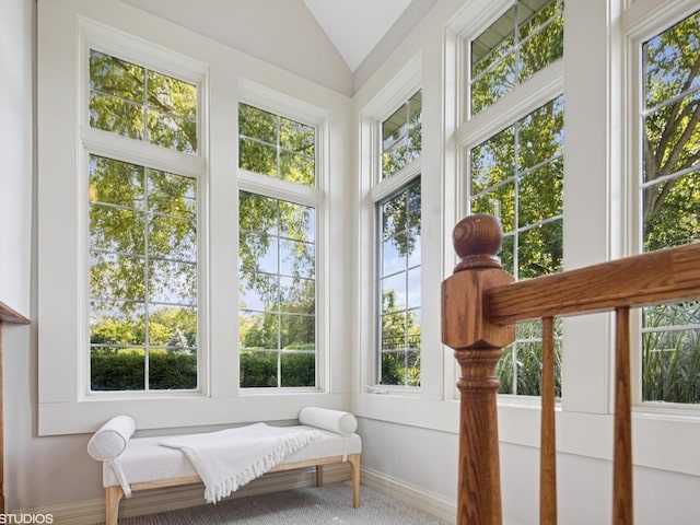 5N113 Burr Rd, Saint Charles, IL 60175 - sitting room featuring lofted ceiling and carpet