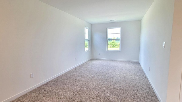 2011 Winterberry Trl, Wonder Lake, IL 60097 - photo 11